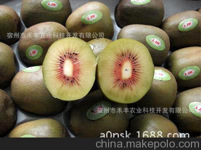 太阳成集团tyc7111cc